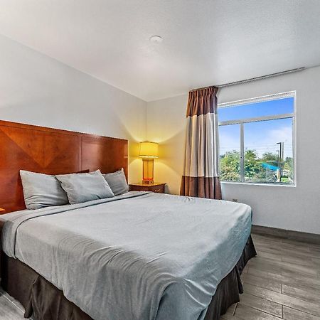 Chandler 1 Bd 1 Ba Fully Renovated Premium Lux Apartment Pets Allowed Exterior foto